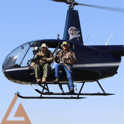 helicopter-hog-hunting-florida,The Best Time for Helicopter Hog Hunting in Florida,thqhelicopterhoghuntingflorida