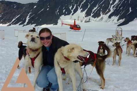 girdwood-glacier-dog-sled-helicopter-tour,Why Choose Girdwood Glacier Dog Sled Helicopter Tour,thqWhyChooseGirdwoodGlacierDogSledHelicopterTour