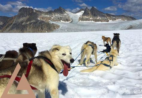 helicopter-dog-sledding-tour-in-skagway-alaska,dog sledding tour skagway alaska,thqdogsleddingtourskagwayalaska