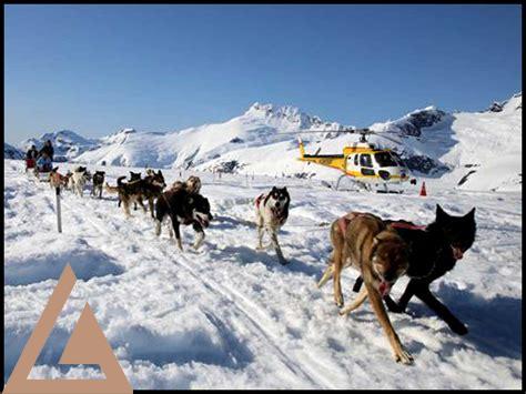 Helicopter Dog Sledding Tours in Juneau